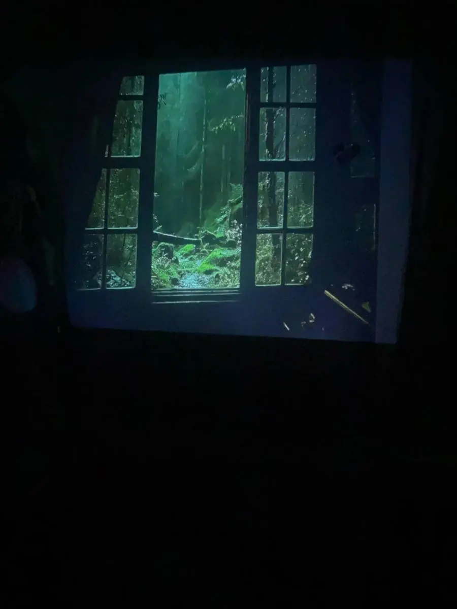 Proyección de una ventana abierta a un bosque, foto de cliente